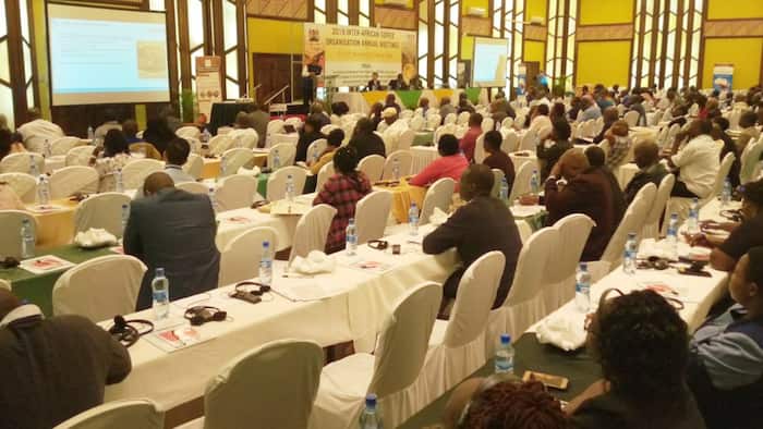 Coffee Summit in Nairobi: Kenya to Host 25 Coffee Producing Countries