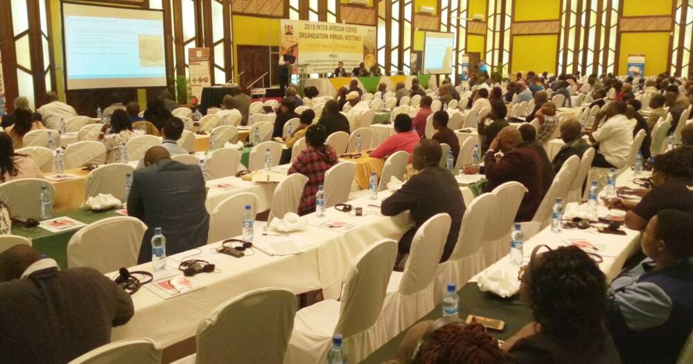 The 7th African coffee symposium Session in 2019, Nairobi - Kenya.