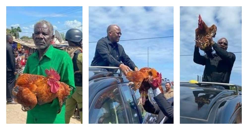 Elderly Man Who Gifted John Magufuli a Chicken Remembers his Humility, Good Deeds