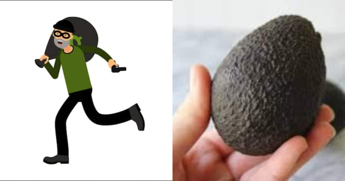 Image result for Man robs KSh 800K from two banks using avocado as weapon