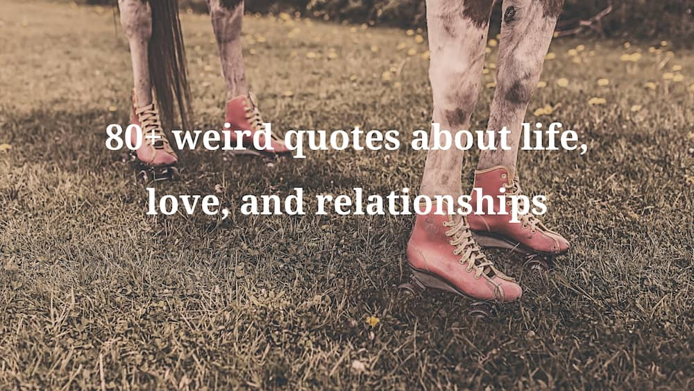 weird quotes