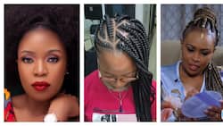 Nairobi Salonist Requests Caroline Mutoko for Chance to Make Her Hair: "I Know You Love Cornrows"