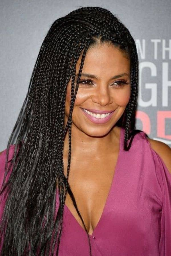 20 sexy micro braids hairstyles pictures 