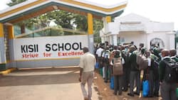 10 best-performing secondary schools in Kisii County in 2022