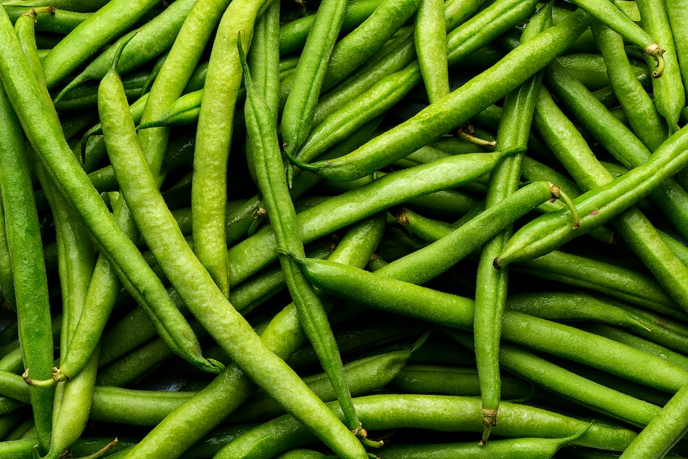 French beans farming in Kenya