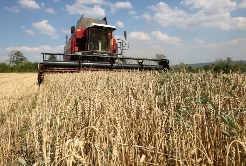 Poľsko, Maďarsko a Slovensko napádajú ukončenie zákazu EÚ na dovoz obilia z Ukrajiny