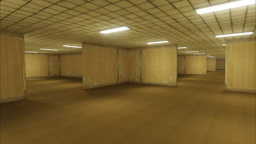 The UNNAMED Backrooms Level 