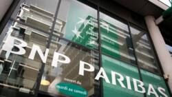 Shares in banking giants BNP, ING fall despite hefty profits