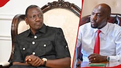 William Ruto Threatens to Sack Kipchumba Murkomen Over Rampant Accidents: "You'll Be in Trouble"