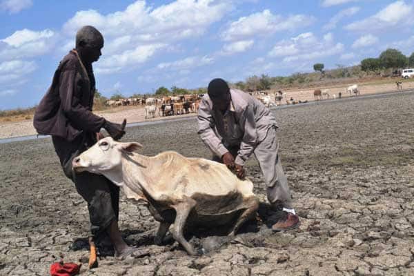 causes of climate change in Kenya