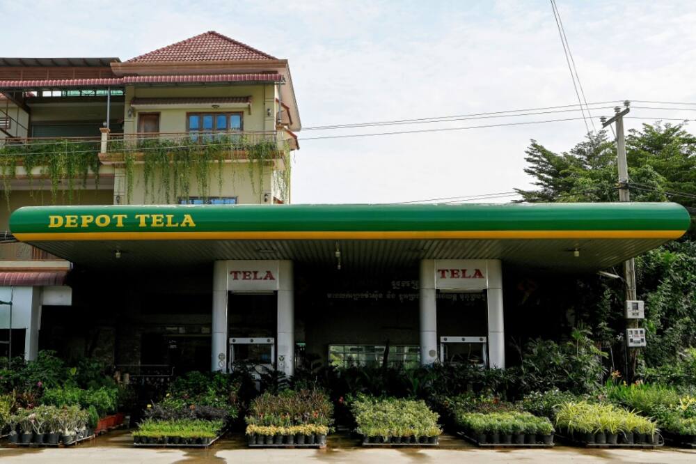 Going green: this station in Cambodia has gone from selling petrol to plants