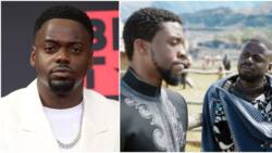 Black Panther Fans Dejected as Actor Daniel Kaluuya Misses Out on Blockbuster Sequel: "Messing It Up"
