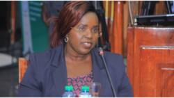 Peninah Malonza: Tourism CS Nominee Unanimously Rejected by Vetting Panel