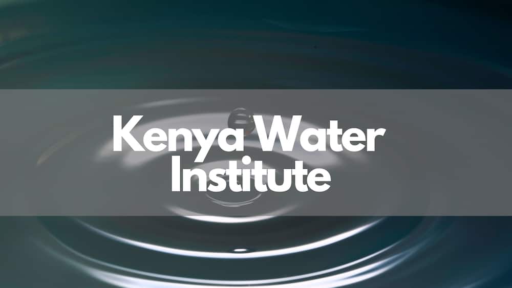 Kenya Water Institute