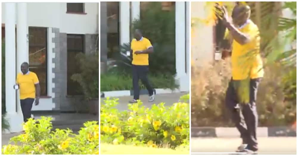 Video of William Ruto Walking around Holding Cup of Tea, Wearing Sandals Excites Kenyans