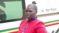 Meru: Woman Who Chopped off Her Husband's Testicles Sentenced to 15 Years