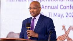 CBK Base Lending Rate Remains at 9.5% as Regulator Projects Ease in Inflation