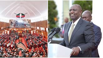 William Ruto Vouches for Reintroduction of CDF: "It Has Made Lives Better"