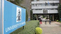 University of Nairobi - everything you need to know