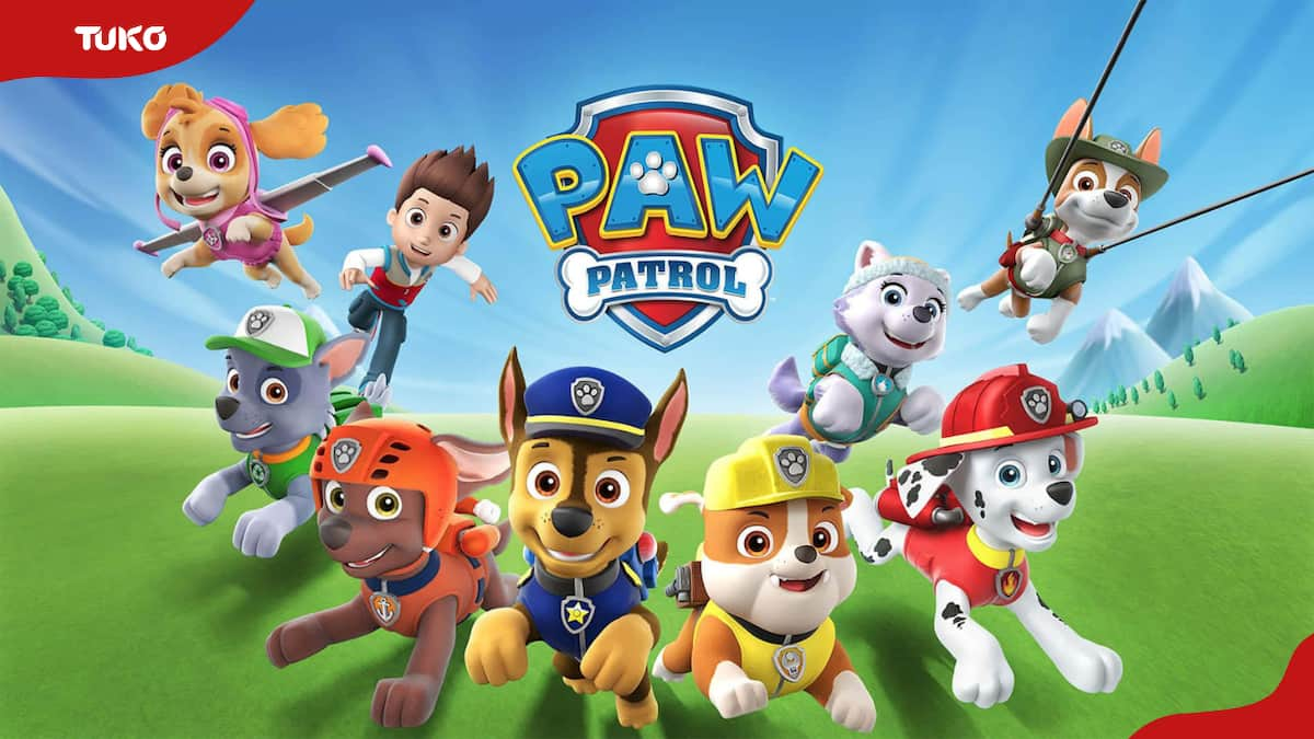 All PAW Patrol dog names, breeds, characters, and personalities - Tuko ...