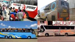 List of Best Managed Long-Distance Bus Companies in Kenya, Owners, Routes and Fleet