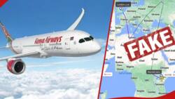 KQ Dismisses Reports Intercepted Plane Flew Over Russia on Way to London: "Fake News"