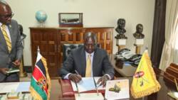 William Ruto Reorganises Gov't Creating 3 New Offices for Economic Transformation
