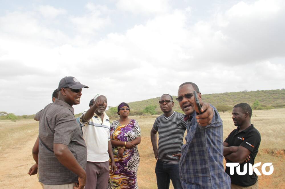 Marsabit agricultural officers say they are using own money to facilitate spraying of locusts
