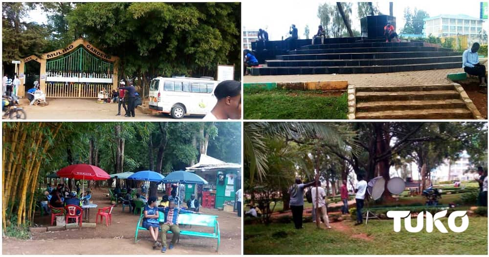 Muliro Gardens Kakamega Park Sheds