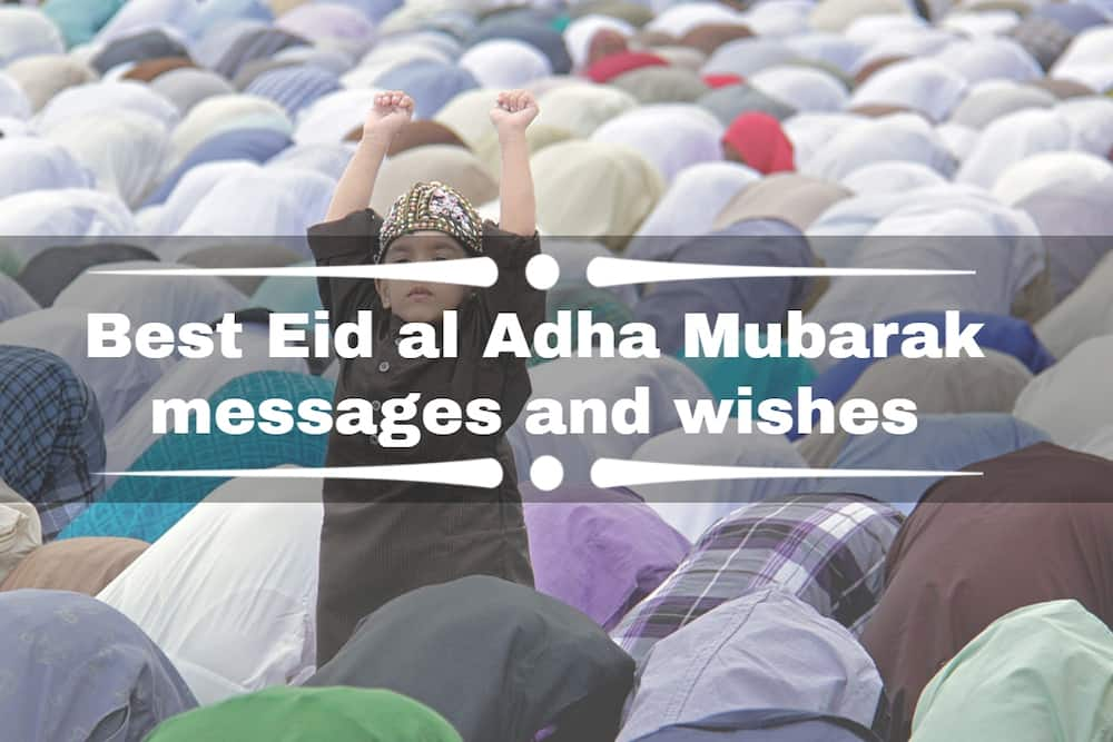 Eid al Adha Mubarak