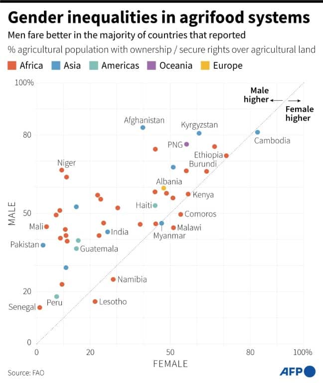 Gender inequalities in agrifood systems