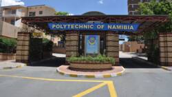 The 20 best Polytechnics in Africa in 2023/2024, ranked