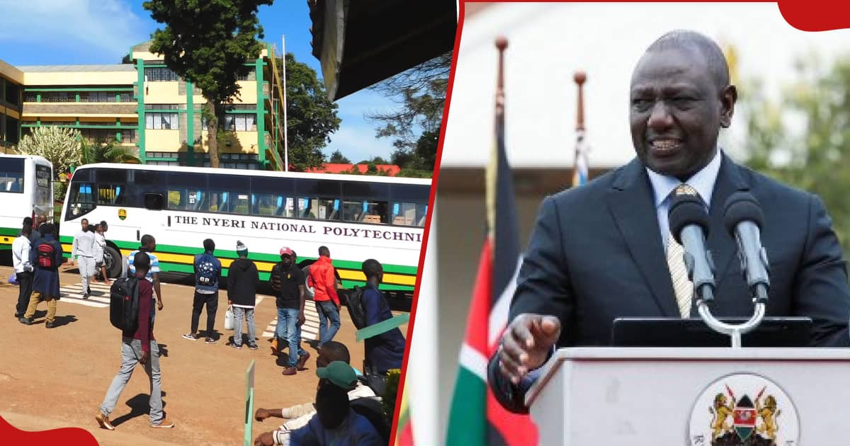 Bold Student Asks Ruto for Job at State House, Gets Internship: "I'll Assess Your Performance"