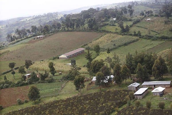 All you need to know about the divisive Mau Forest evictions and restoration