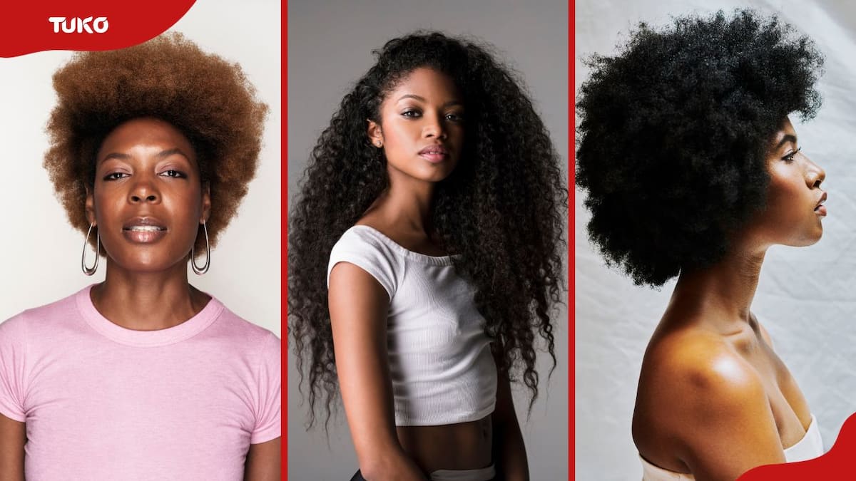 60 best dreadlock hairstyles for women in 2023 (with pictures) - Tuko.co.ke