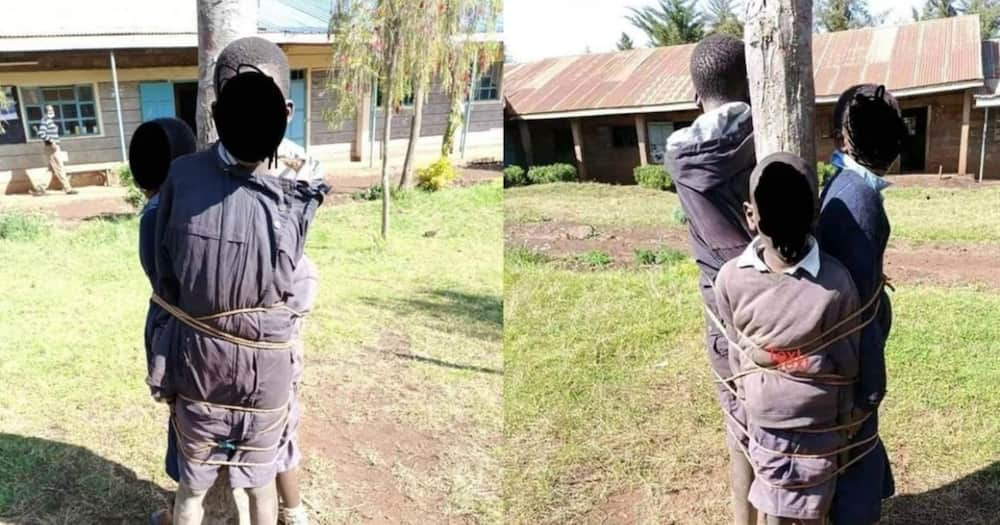 The tree leaners of Thiru Primary School . Photo: Daily Nation.