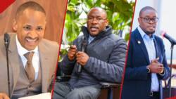 Babu Owino Would Easily Beat Tim Wanyonyi, Sakaja If Elections Were Held Today, New Poll Shows