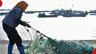 Unregulated Fishing: Who Denies Kenya Over KSh 12b In Potential Blue Economy Income from Indian Ocean