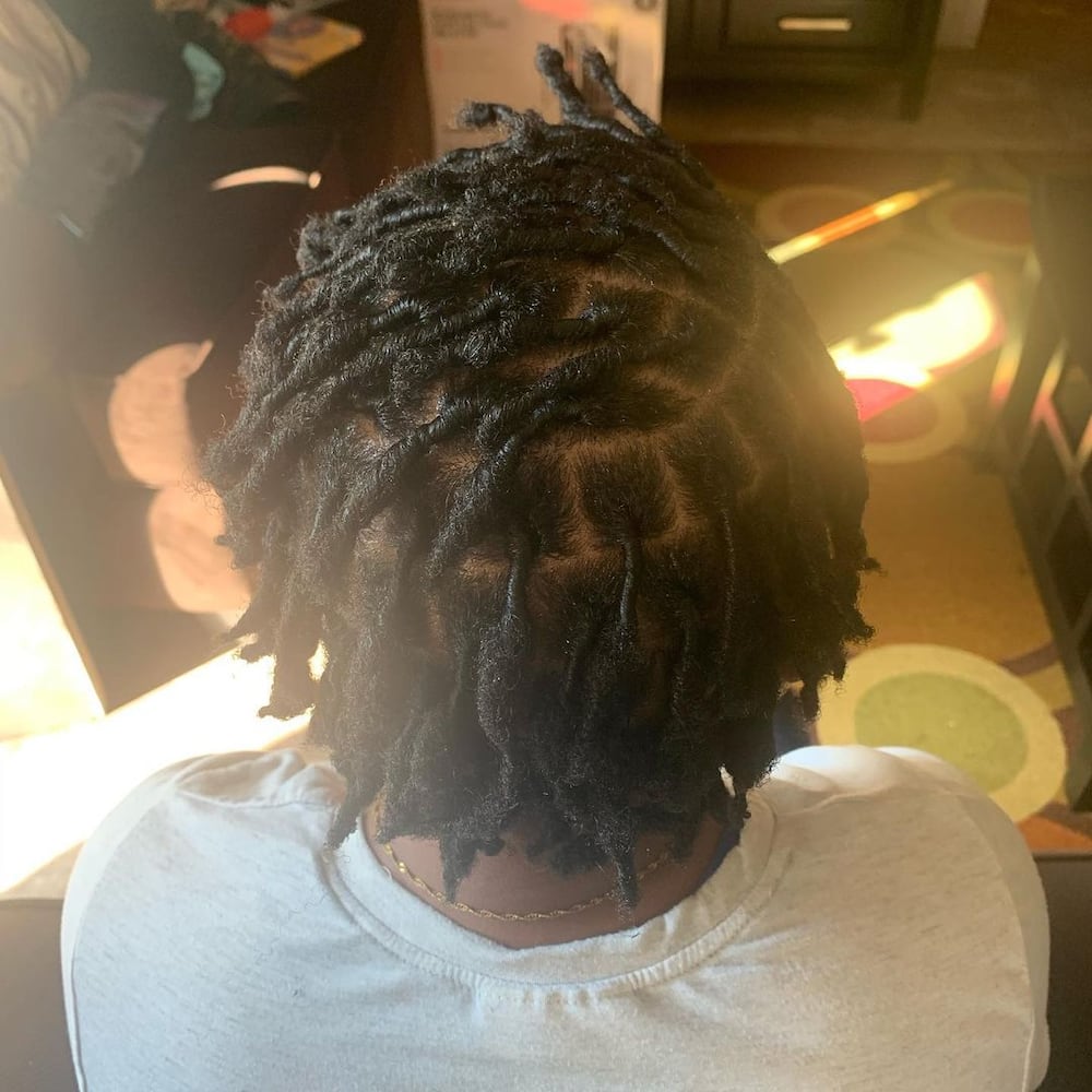 Dreads growth stages