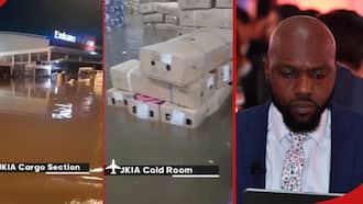 Larry Madowo Exposes JKIA Again after Cargo Export Zone Flooded, Flowers Ruined