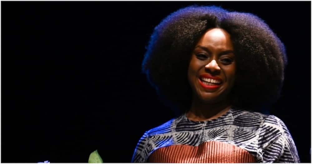 Chimamanda Adichie Ngozi focuses much of her work around feminism.