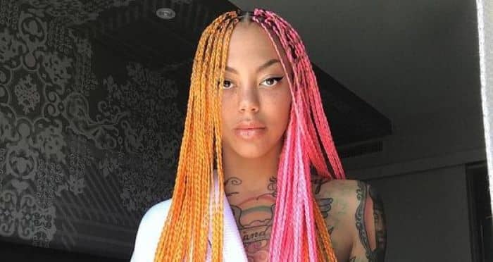 Half and half multicoloured braids