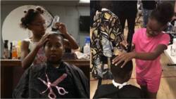 Talented 8-year-old Neijae Graham-Henries named youngest black barber in the world