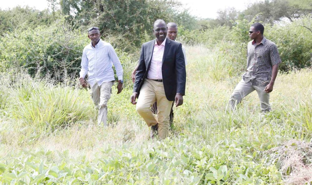 List of top land controversies that have discredited Deputy President William Ruto