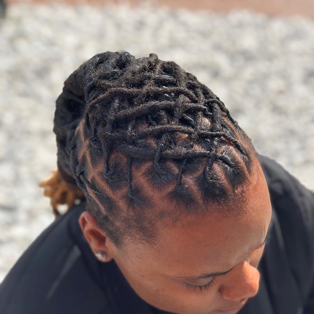 20 trending short dreadlocks hairstyles for ladies - Tuko.co.ke