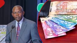 Kenya's Forex Market: 'Sell Your Dollars' Trending as KSh Hits 130 Against USD in the Markets