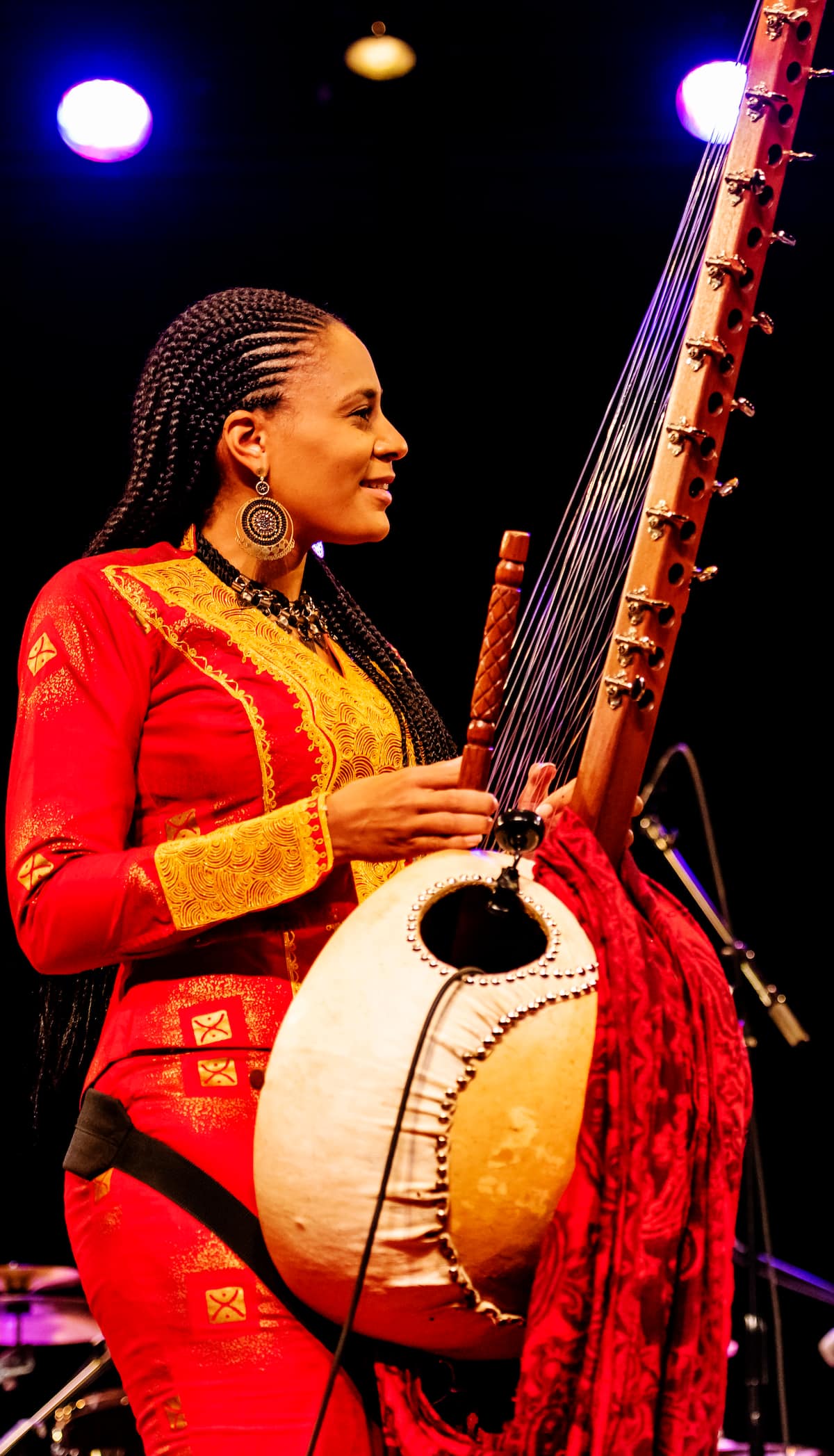 List Of African Musical Instruments And Their Names And Pictures
