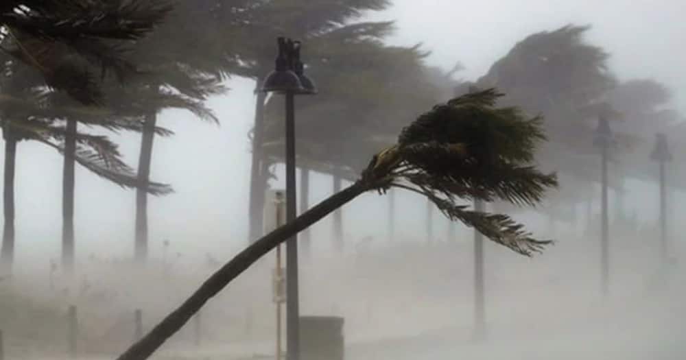 Met dept warns of very strong winds, large waves likely to blow off roofs and uproot trees in 15 counties