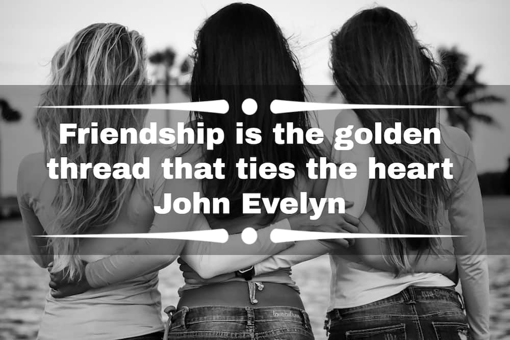 Internet Best Friend Quotes