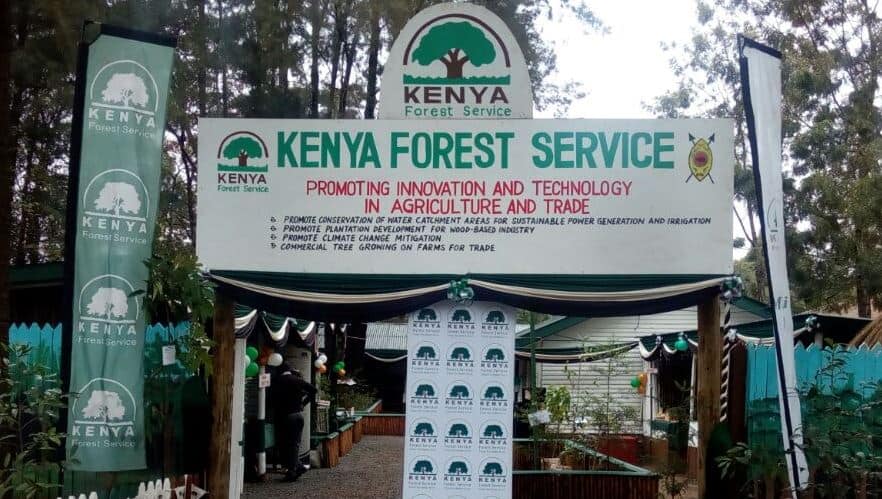 Kenya Forest Service vacancies